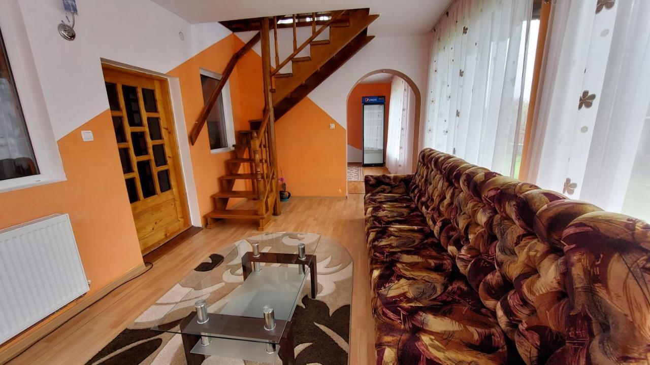 Vila Coman Інторсура-Бузаулуй Екстер'єр фото